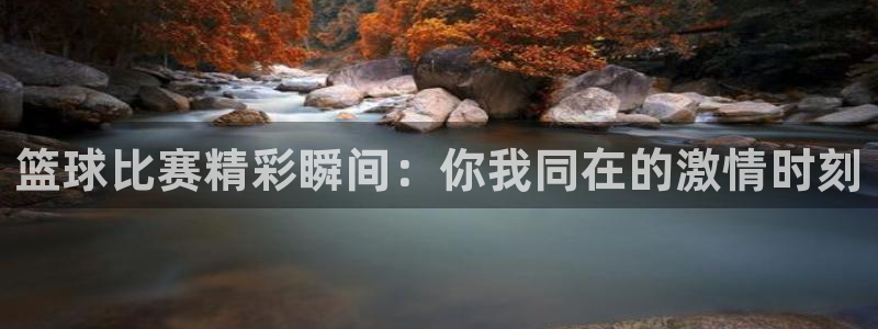 篮球比赛精彩瞬间：你我同在的激情时刻