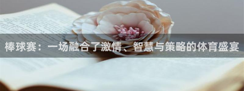 棒球赛：一场融合了激情、智慧与策略的体育盛宴