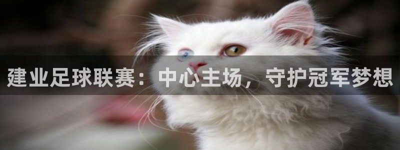 建业足球联赛：中心主场，守护冠军梦想