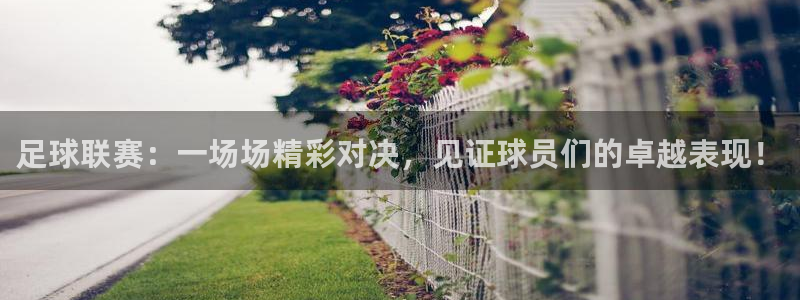 熊猫体育直播官方网站：足球联赛：一场场精彩对决，见证球员们的