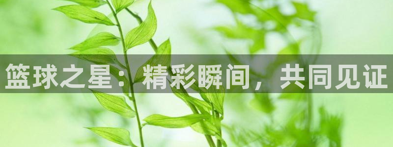 熊猫体育官网下载安装手机版：篮球之星：精彩瞬间，共同见证