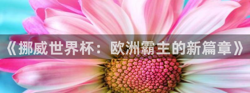 熊猫体育电子足球app：《挪威世界杯：欧洲霸主的新篇章》