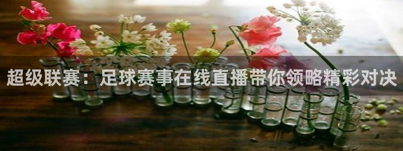 熊猫体育娱乐：超级联赛：足球赛事在线直播带你领略精彩对决