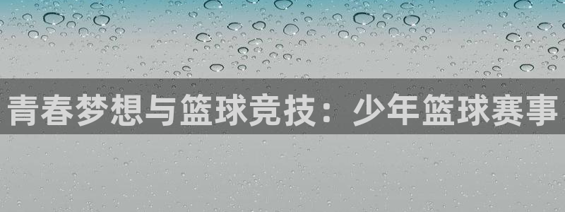 熊猫体育直播在线观看无插件NBA：青春梦想与篮球竞技：少年篮